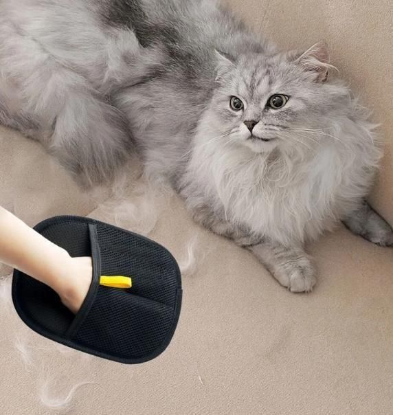 Pet Hair Removal Gloves (Pack of 2) - Havenkart