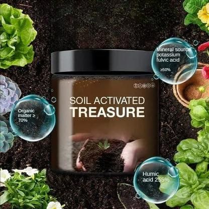 Soil Activated Treasure Premium Soil Activator 200gram (Pack of 2) - Havenkart